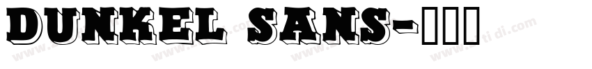 dunkel sans字体转换